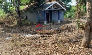 Dijual/Disewakan Cocok Untuk Gudang di Jalan Raya Telagasari Karawang