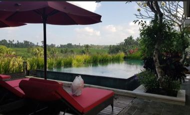 Attractive freehold villa in Singakerta, Ubud