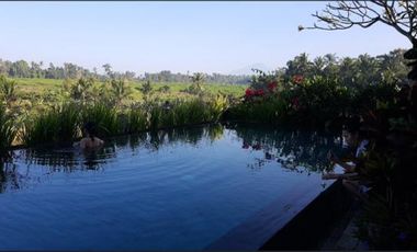 Attractive freehold villa in Singakerta, Ubud