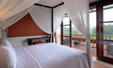 Attractive freehold villa in Singakerta, Ubud
