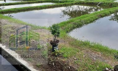 Rumah nyaman dekat alun alun pengging banyudono boyolali