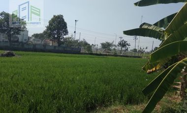 Rumah dekat bandara solo