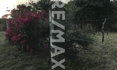 Venta de Terreno en Cuilápam, Oaxaca - (3)