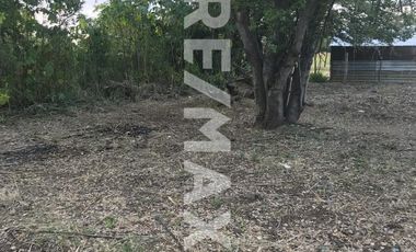 VENTA DE TERRENO EN CUILÁPAM, OAXACA - (3)