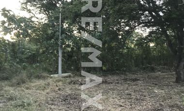 VENTA DE TERRENO EN CUILÁPAM, OAXACA - (3)