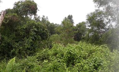 Dijual TANAH di Pekanbaru