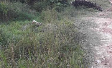 Dijual TANAH di Pekanbaru