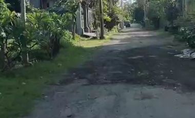 Rumah cantik jl sekar tunjung gatsu timur