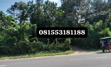 Tanah Luas + Murah Di 0 Jalan Raya Suranadi, Kec. Narmada,Lombok Barat