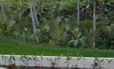 Villa 3 Kamar Tidur di Pejeng Gianyar Dengan View Sawah