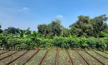 tanah kavling cinanggela cilame ngamprah