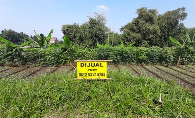 tanah kavling cinanggela cilame ngamprah