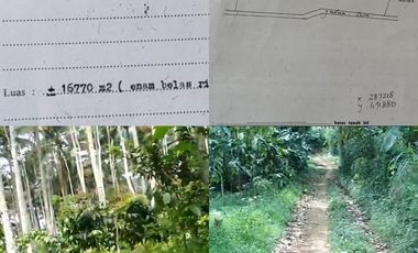 Tanah dijual di Pringsurat, Temanggung