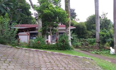 Dijual Murah Rumah Di Sayap Setiabudhi