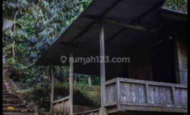 Tulungagung, Sendang. Lahan perkebunan