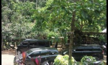 Tulungagung, Sendang. Lahan perkebunan