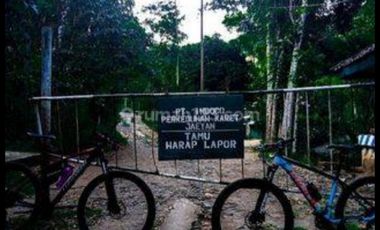 Tulungagung, Sendang. Lahan perkebunan