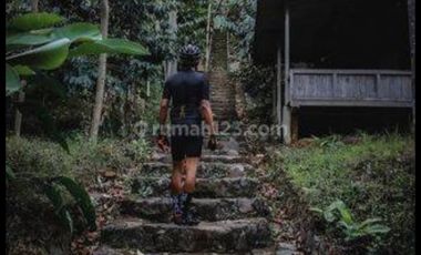 Tulungagung, Sendang. Lahan perkebunan