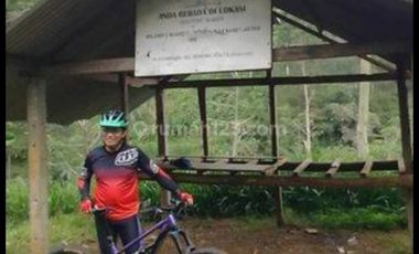 Tulungagung, Sendang. Lahan perkebunan