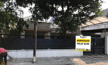 Disewakan Rumah 1.5 Lt   Darmo Permai Utara