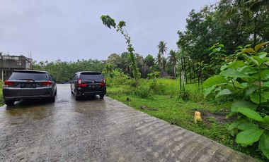 Tanah Dekat Rs Pantirapih Kulonprogo Turun Harga