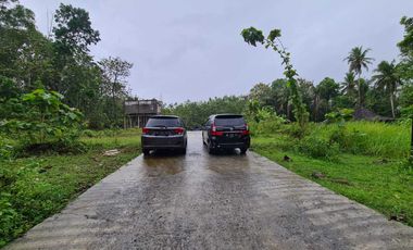 Tanah Dekat Rs Pantirapih Kulonprogo Turun Harga