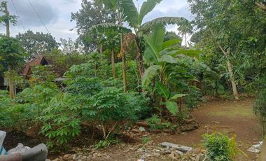 Jual Cepat tanah SHM di Argomulyo Salatiga dekat RS Paru