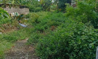 Tanah SHM Di Sidomukti Salatiga dekat Kampus UKSW,RSUD,Jl Lingkar