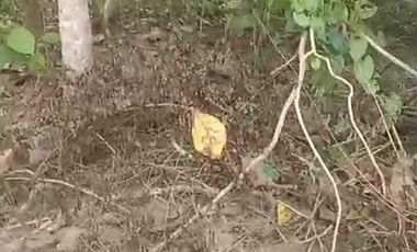 DIJUAL MURAH TANAH KAVLING DEKAT MUSEUM FACTORY. JK 12562