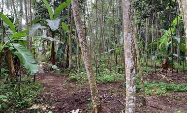 Jual Tanah Lokasi strategis cocok untuk investasi