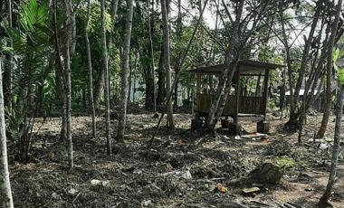 Jual Tanah Lokasi strategis cocok untuk investasi