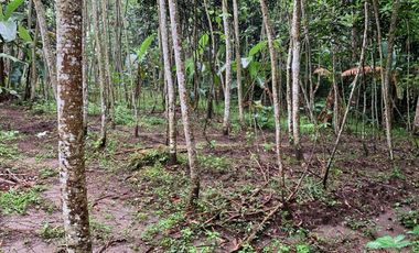 Jual Tanah Lokasi strategis cocok untuk investasi