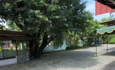 Rumah dengan lokasi terbaik di pusat Kota Yogyakarta