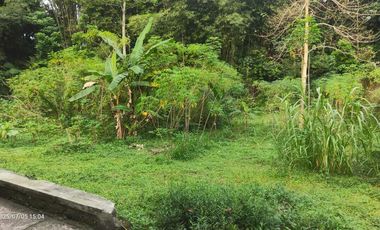 Tanah Pekarangan Murah Cangkringan Sleman Yogyakarta