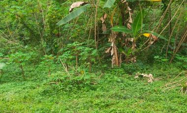Tanah Pekarangan Murah Cangkringan Sleman Yogyakarta