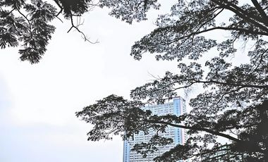 Apartemen Skandinavia Di Tangerang