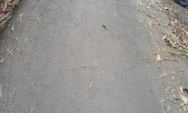 jual tanah kecil murah meriah nambongan mlati Sleman Yogyakarta