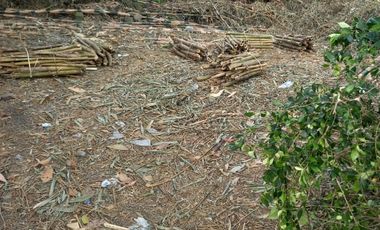 jual tanah kecil murah meriah nambongan mlati Sleman Yogyakarta