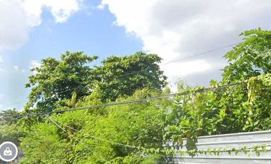 Tanah 840 m Dewi Sri