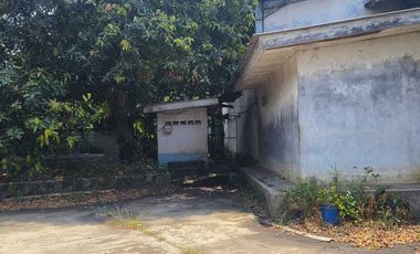 Disewakan Cepat Gudang Karawaci Siap Pakai