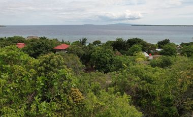 Lahan di belakang Bara Beach Bungalows