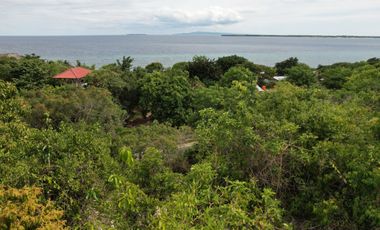 Lahan di belakang Bara Beach Bungalows