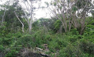 Lahan yang pas depan pantai Bora