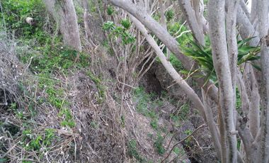 Lahan yang pas depan pantai Bora
