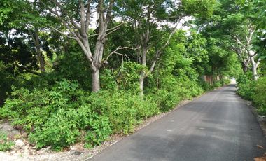 Lahan yang pas depan pantai Bora