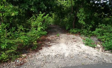 Lahan yang pas depan pantai Bora