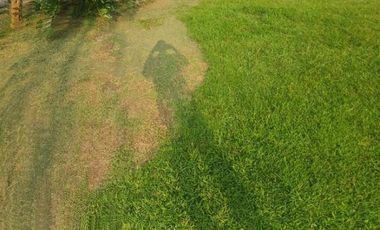 Dijual Hotel masih  Operated di Megamendung