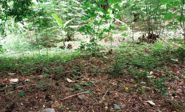 Disewakan Tanah di pinggir Jalan raya TB Simatupang Jakarta Selatan