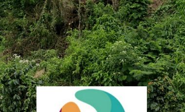 Dijual kavling di daerah pariwisata dekat Maribaya