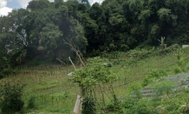 Dijual kavling di daerah pariwisata dekat Maribaya